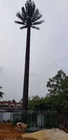 الاتصالات المموهة الصنوبر شجرة النخيل برج 0 م - 80 م ارتفاع