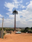 مموه شجرة النخيل الصلب برج مونوبولي للإرسال